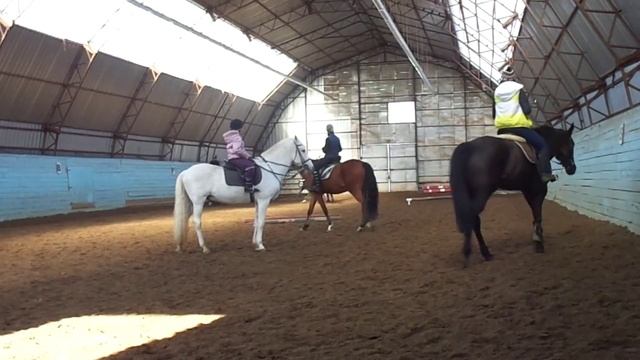 Эйгин Леонид  Галоп в манеже 28 02 16