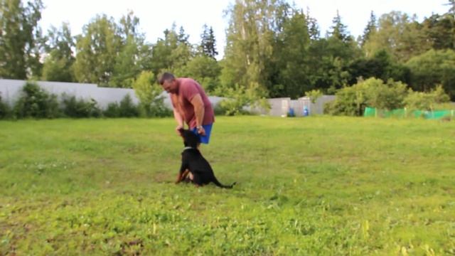 Черный Рыцарь Замбо,  25/06/2017