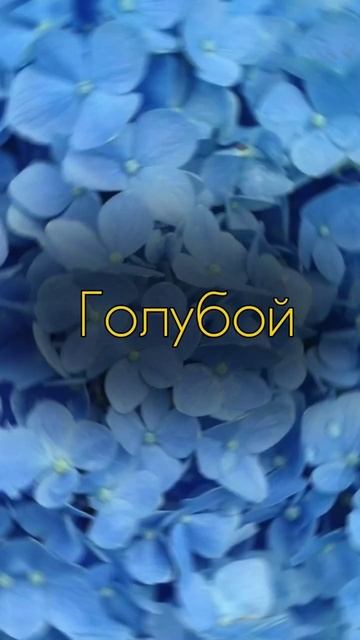 Цвет теней для карих глаз #макияж #макияжглаз #тенидля? смотреть онлайн