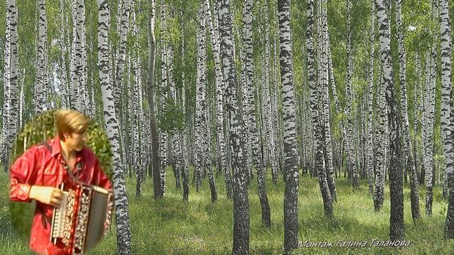 Любимый шансон... Белые березы, вы как материнские слез смотреть онлайн