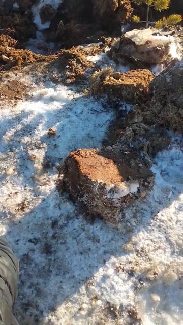 попытка вытащить трактор болотник смотреть онлайн