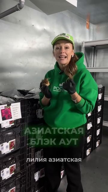 Топ-5 лилий для создания букетов смотреть онлайн