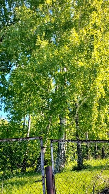 Что есть музыка жизни🎶💖 смотреть онлайн