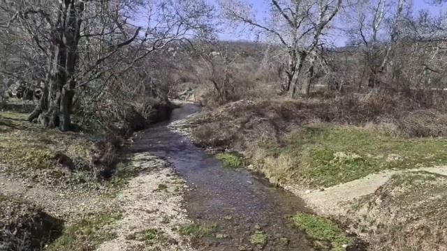 #349.Сукко.Кипарисовое озеро.Кипарисы стоят в воде. смотреть онлайн