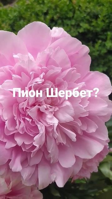 10 июня 2023 г. смотреть онлайн