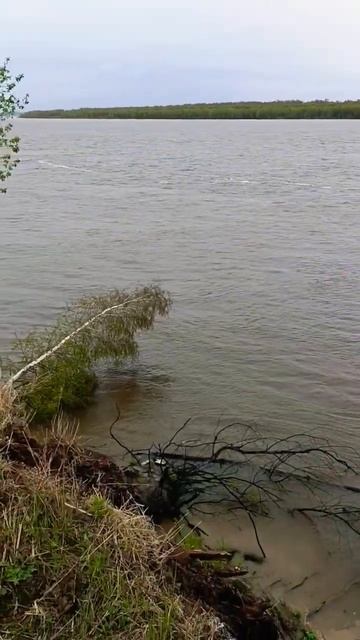 река Обь смотреть онлайн
