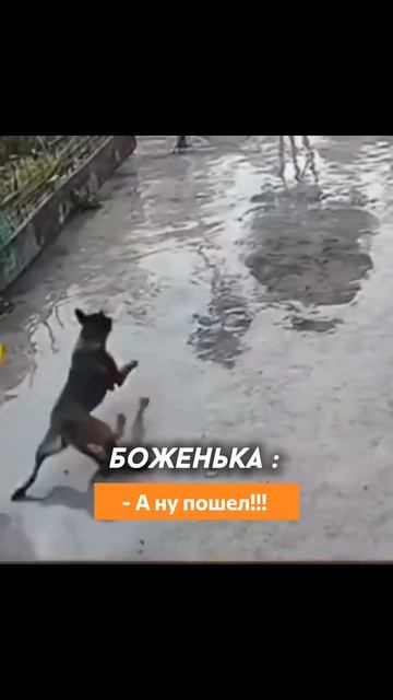 Когда муж не хочет покупать мягкие окна, но высшие сил? смотреть онлайн