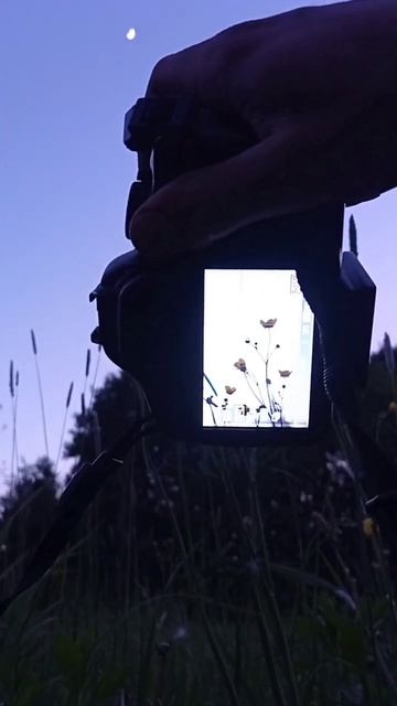 Луна и лютик фото на камеру 550d #photography #streetphotography #фотог? смотреть онлайн