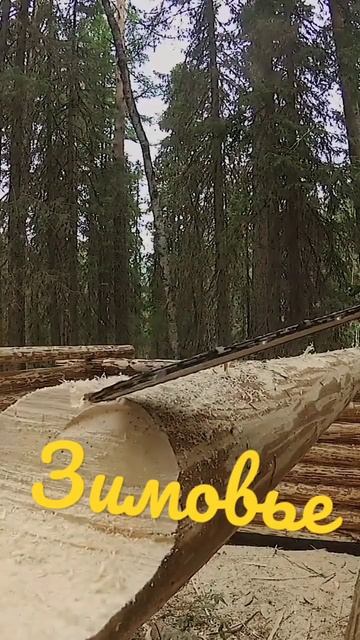 Продольный паз #изба #сруб#тайга #зимовье смотреть онлайн