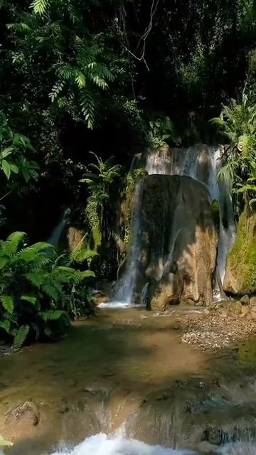 Обязательно посади дерево, даже если завтра придет ко? смотреть онлайн