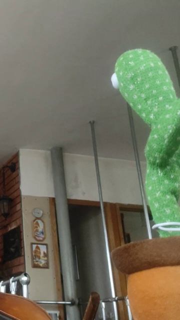 #Cactus & violin #Paganini Kosta T #violin #violinist #скрипка и #кактус #Паган? смотреть онлайн