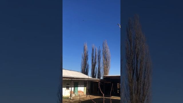 С первого раза не идут на посадку.молодёжь.бойные голу