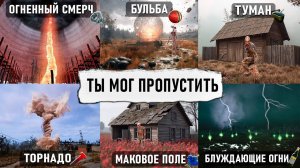 ВСЕ 6 ОПАСНЕЙШИХ АРХИАНОМАЛИЙ из STALKER 2