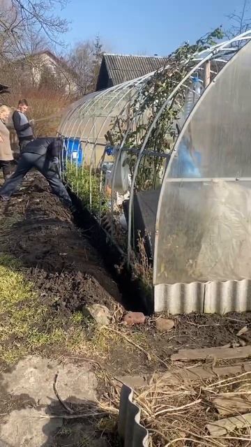 Меняем поликарбонат на теплице. смотреть онлайн