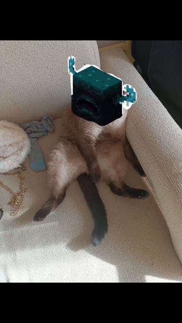 Алиса угадывает #майнкрафт #minecraft #minecraf #варден смотреть онлайн