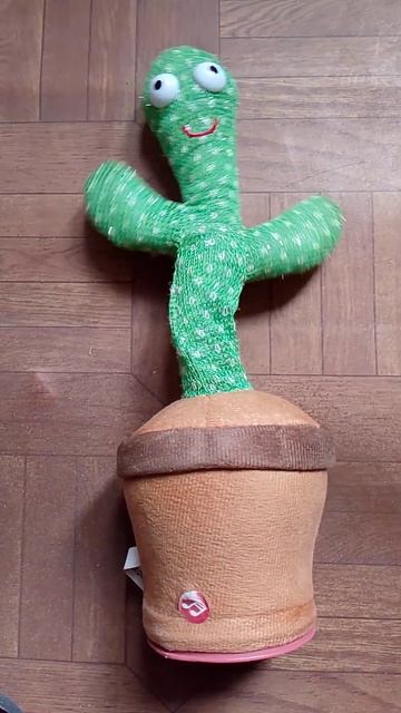 24 апреля 2025 г. смотреть онлайн