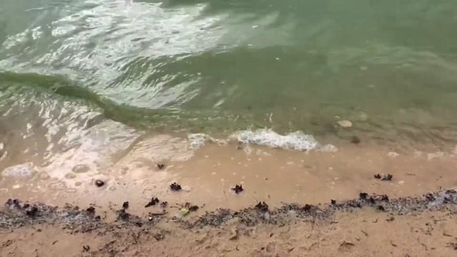 Пробное видео Ольга Воронцова смотреть онлайн