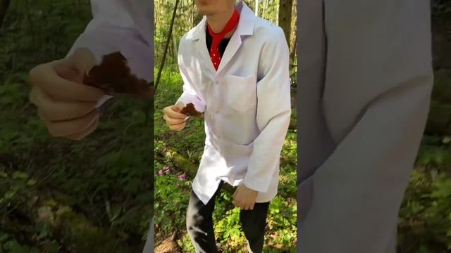 Сбор мухомора в мае. Можно ли есть мухоморы в лесу. Гри? смотреть онлайн