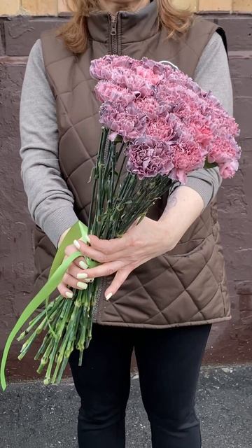 Гвоздика Пинк блэк молли #гвоздики смотреть онлайн