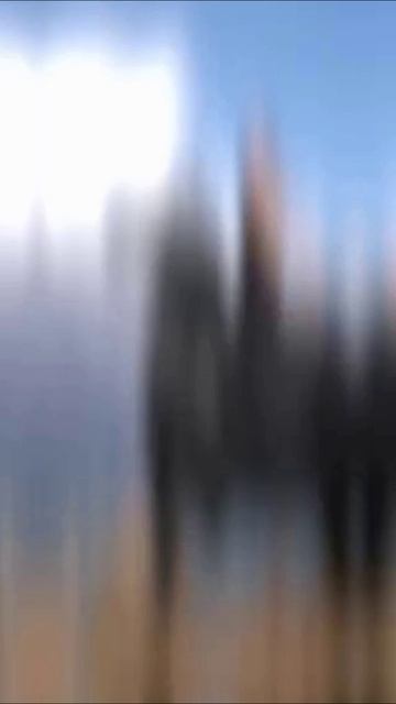 на коне.mp4 смотреть онлайн