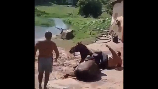 Приколы Январь 2019 смотреть онлайн