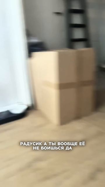 У животного появился запах изо рта?Это не «так бывает» смотреть онлайн