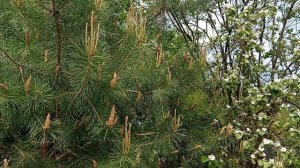 Улыбнулся день.