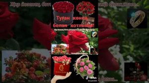 Туган конен белэн!!!