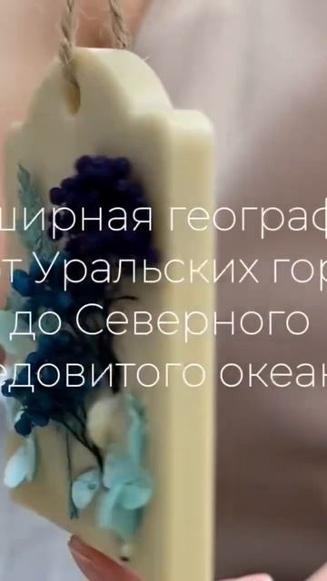 Творческая студия по организации и проведению мастер- смотреть онлайн