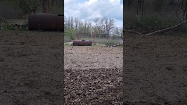 #деревня #волгоградскаяобласть #деревенскаяжизнь #лоз смотреть онлайн