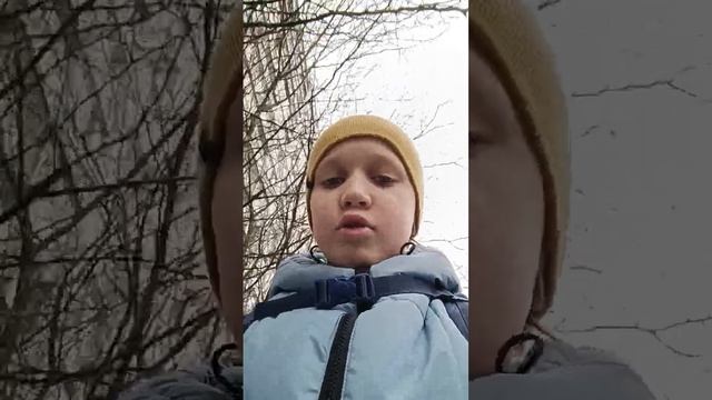 Короткие видео в Яндекс Дзен и VK. #media909 смотреть онлайн