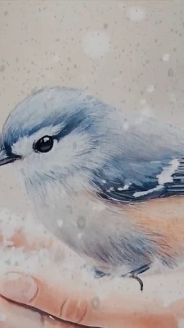 То, что есть – береги! (слова Натальи Загуменниковой, м смотреть онлайн