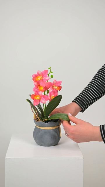 Штучна Орхідея фаленопсис кораловий (Green flowers) 28 см смотреть онлайн