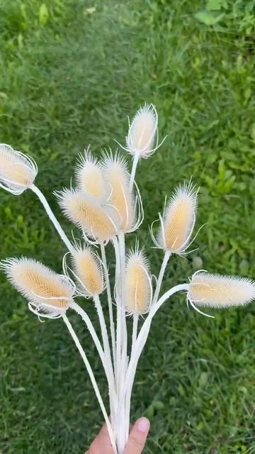 Ворсянка відбілена #декор смотреть онлайн