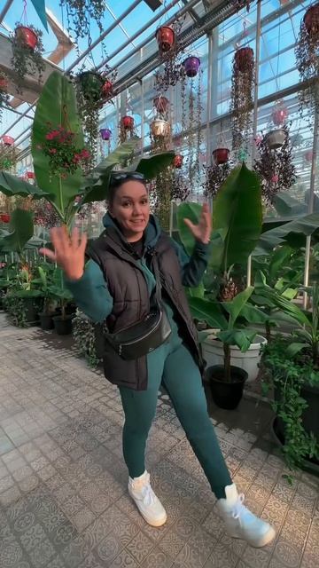 Сколько стоит оазис в Бухаре? смотреть онлайн