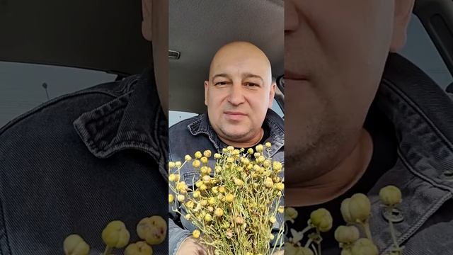Гармала Адраспан Юзерлик смотреть онлайн