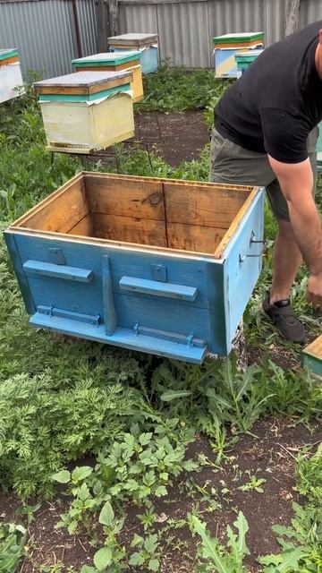 Наши 18ти рамочные улья-лежаки #пасека #honey