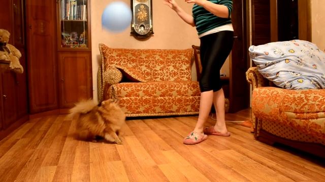 Капуся играет в шарик смотреть онлайн