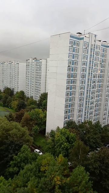 арбуз каждый день 😋😋😋😋 смотреть онлайн