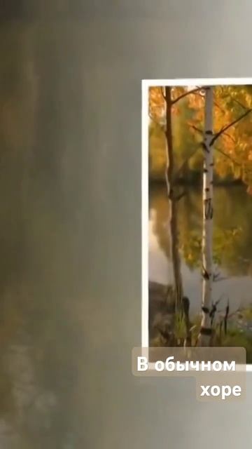 Когда волнуются просторы, шумят порывисто леса.../ муз.? смотреть онлайн