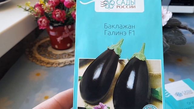 ОБЗОР СЕМЯН НА 2025 год.НОВИНКА ОГУРЦЫ,БАКЛАЖАНЫ И ДРУГИ смотреть онлайн