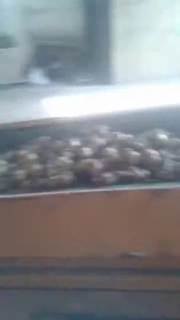 Уборка лука 2017 смотреть онлайн