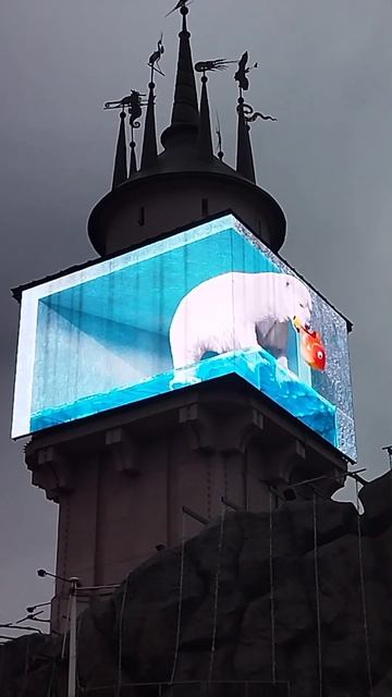 В Московском зоопарке. Белый медведь 😁 смотреть онлайн