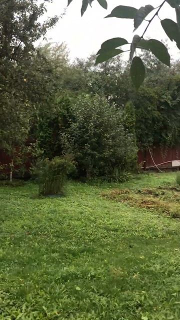 Участок прямоугольной формы, электричество заведено. смотреть онлайн