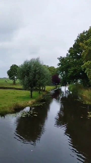 Церковь, канал, пруд, овечки и коровы пасутся. Church, Canal, P