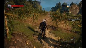 КАК ДЮПАТЬ ДЕНЬГИ В ВЕДЬМАК 3? | WITCHER 3 ДЮП ДЕНЕГ