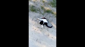 кліп на пісню про дружбу АНУКА ДАВАЙКА