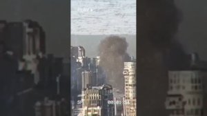 цветет герань