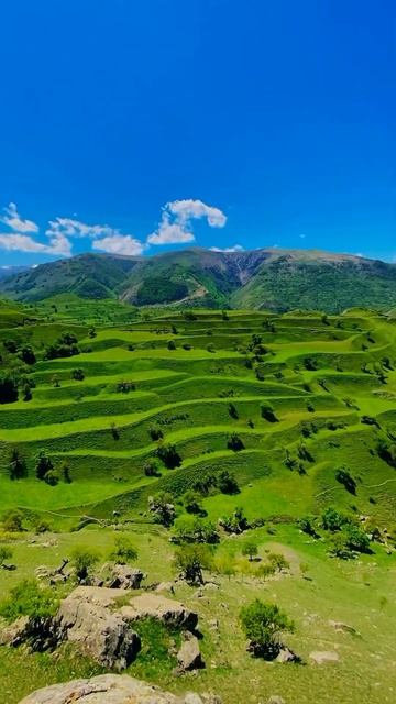 Чудо, которым я делюсь с путешественниками🏔️📍Чохск смотреть онлайн