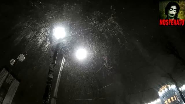 ЧТО ТО. Страшные истории на ночь 🫣🫣🫣 смотреть онлайн